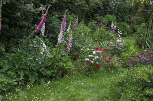 Winterquartier Biodiversität im Garten