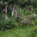 Winterquartier Biodiversität im Garten